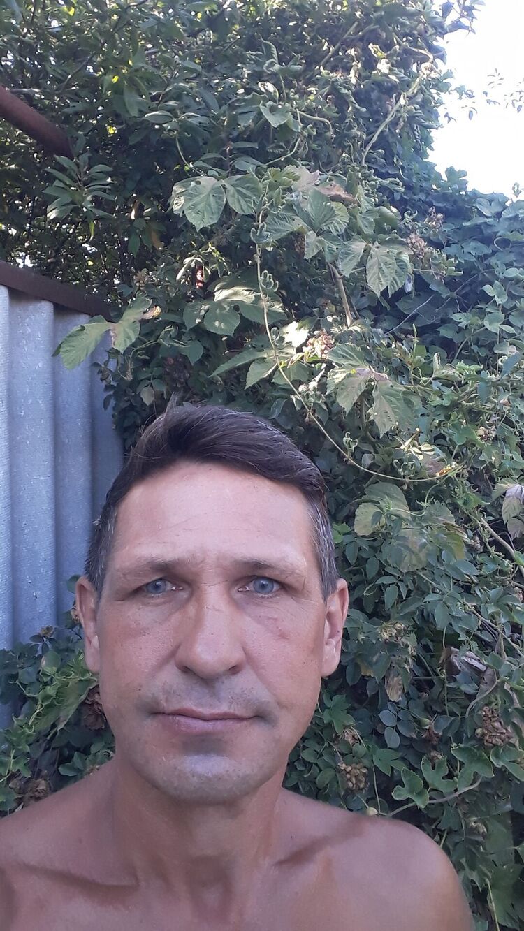  45122864  , 50 ,    