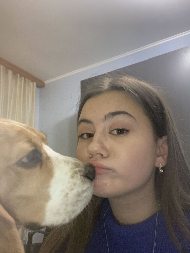 ���� 32381184 ������� ����������, 22 ����, ���� ���������� � ������