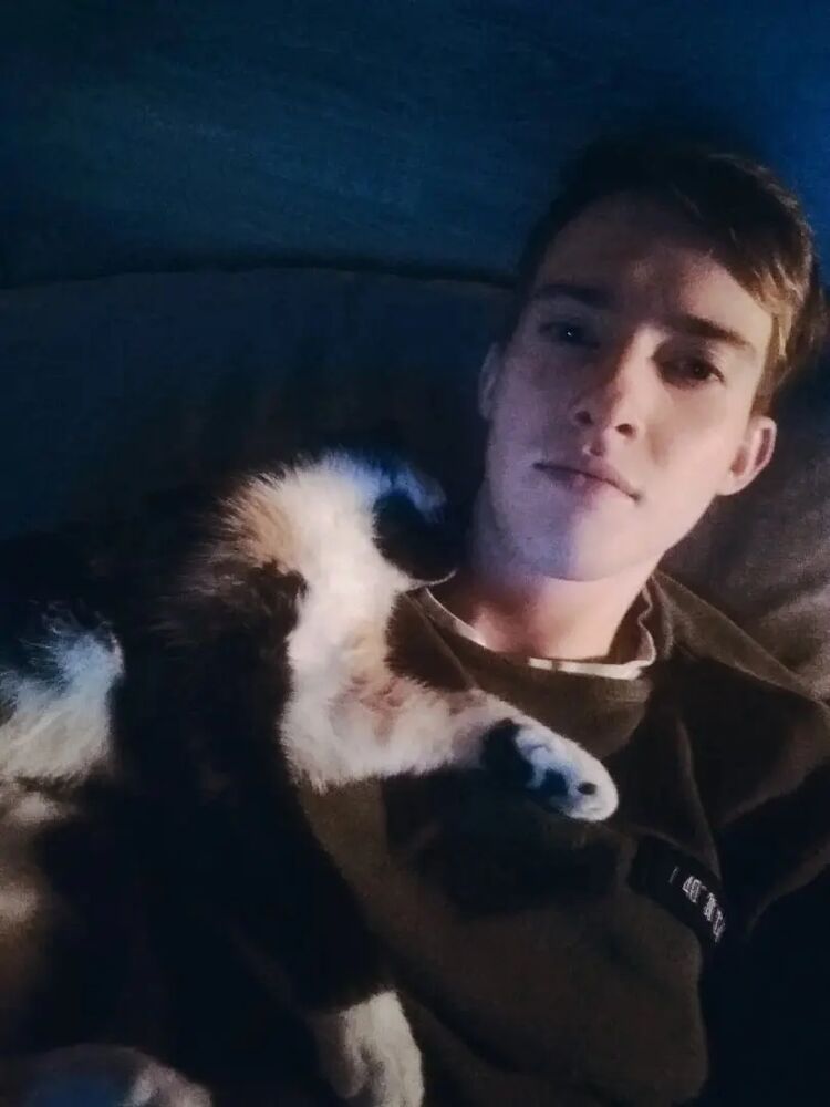 ���� 31998684 ������� ����, 28 ���, ���� ���������� � ������������