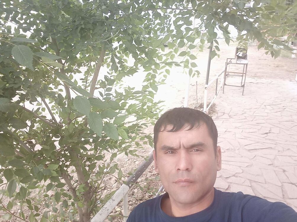 ���� 19764414 ������� ���, 43 ����, ���� ���������� � ������ ���������