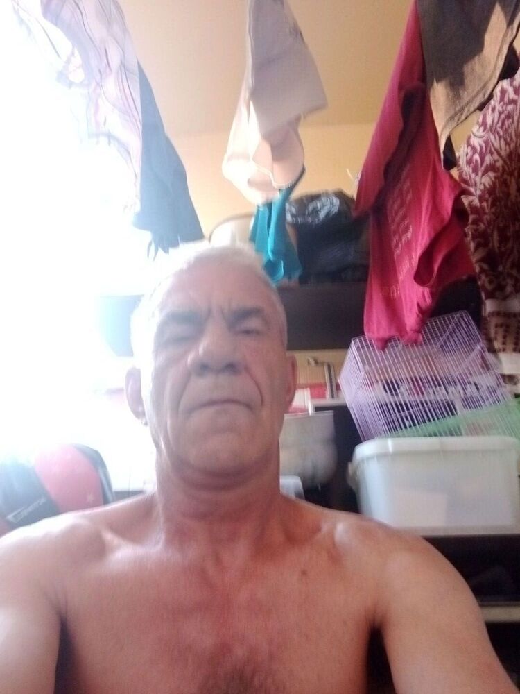  44694434  , 52 ,    