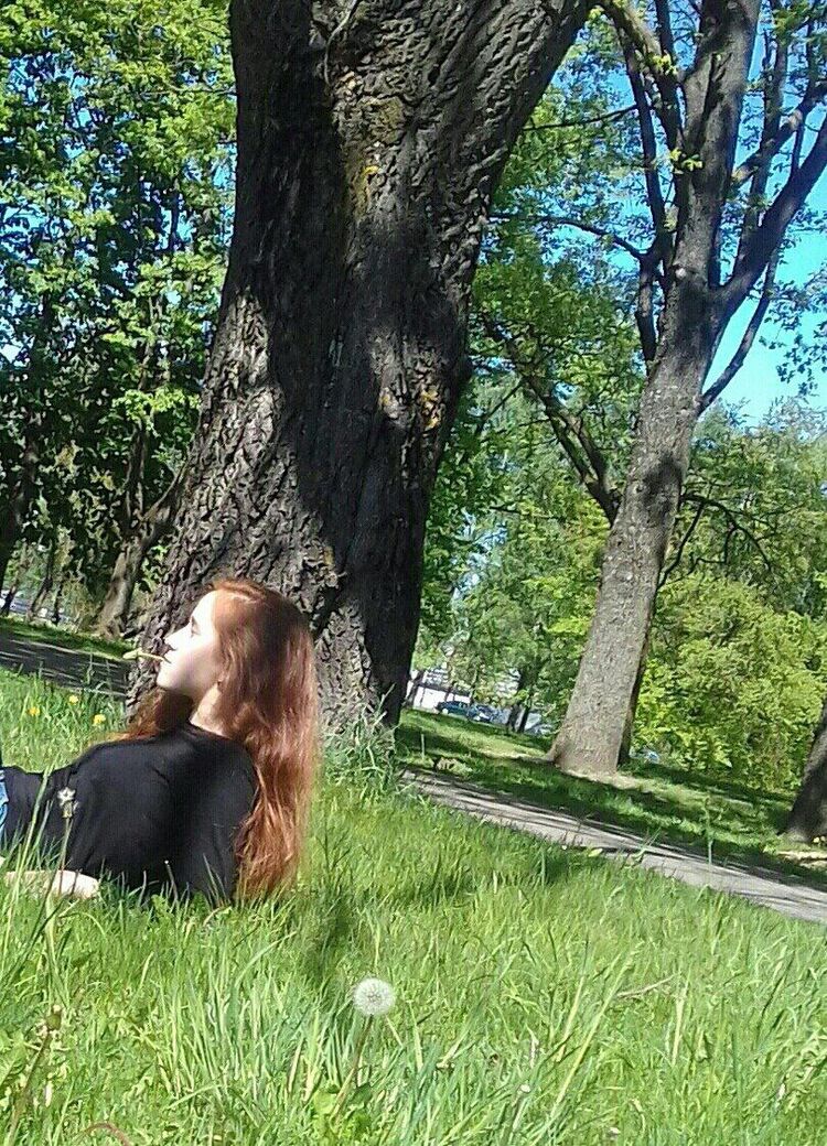  -,   , 24 ,   