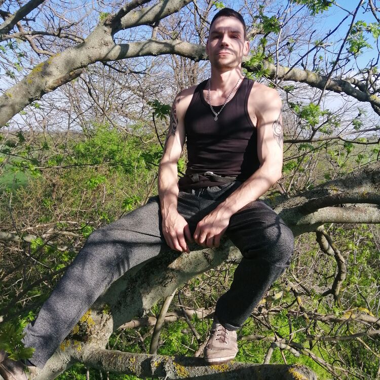  ,   , 41 ,   ,   , 