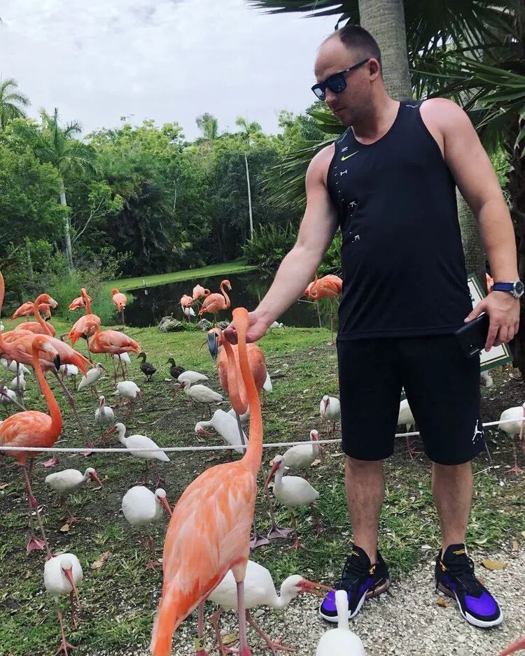 ���� 24588754 ������� �������, 40 ���, ���� ���������� � �����