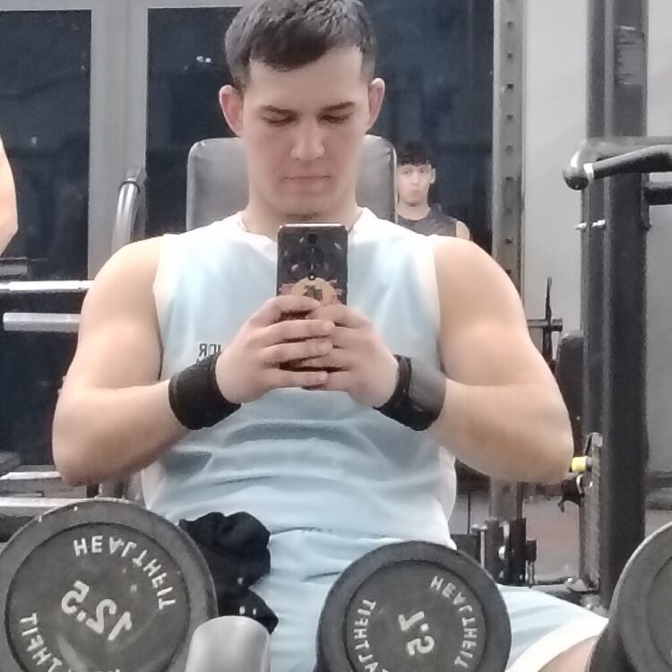  52666244  , 22 ,    