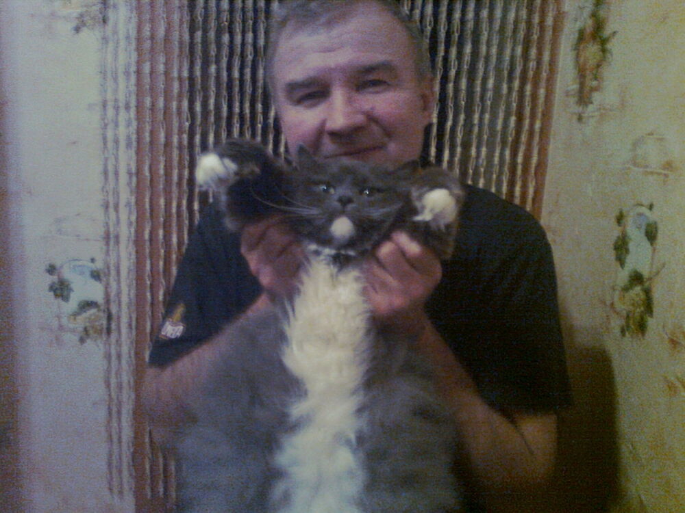 ���� 11406264 ������� �����, 65 ���, ���� ���������� � �����-����������