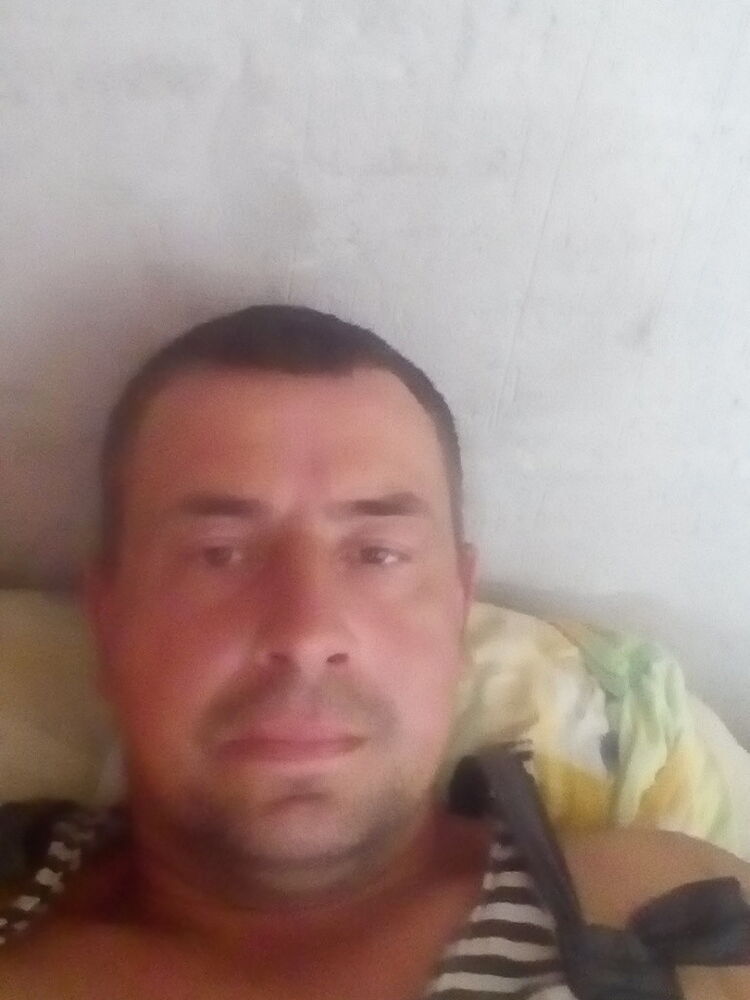  9957794  , 44 ,    