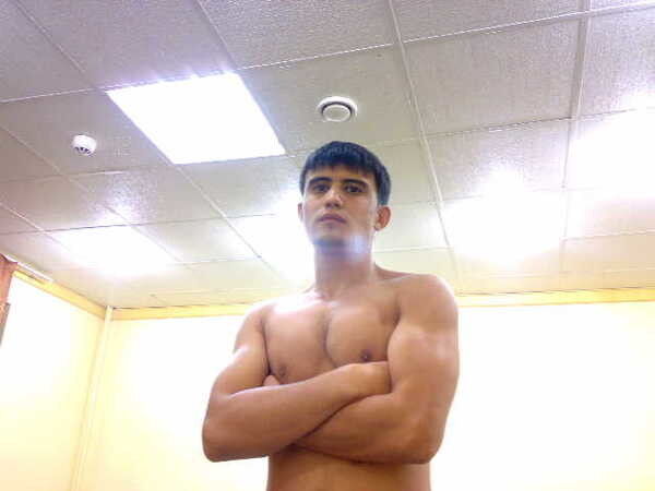  4338564  BEK, 37 ,    -