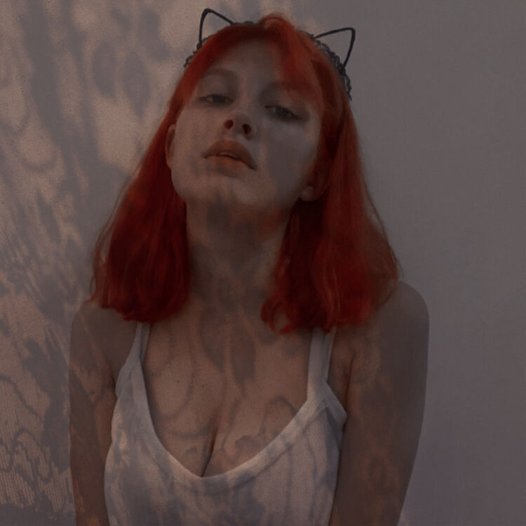 ���� 23583504 ������� ����, 23 ����, ���� ���������� � ������������