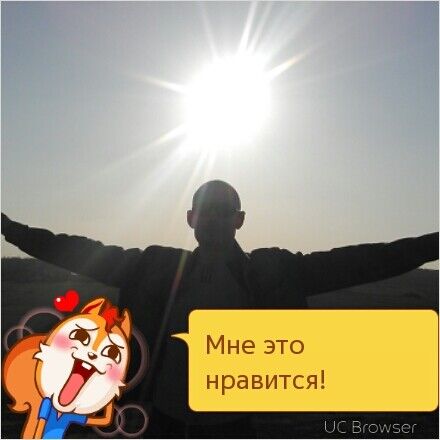  6169054  , 41 ,    