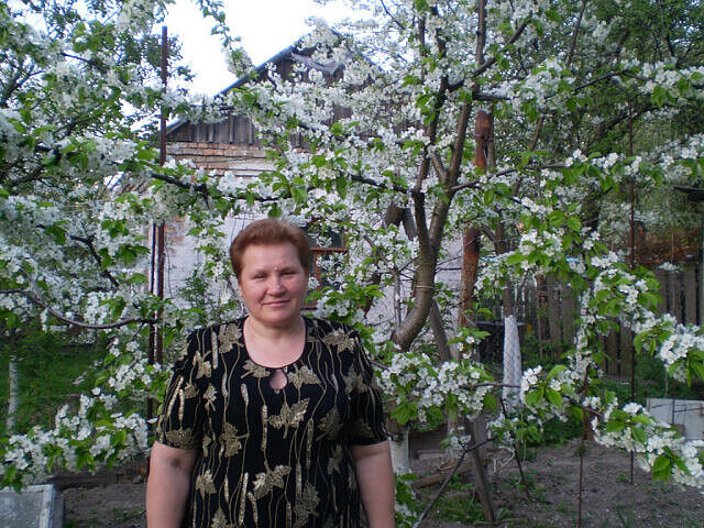 ���� 37382554 ������� �����, 72 ����, ���� ���������� � ������