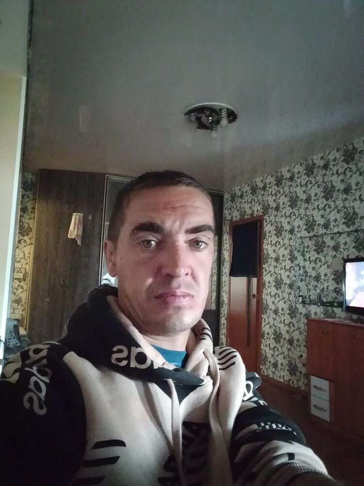 46563994  , 43 ,    