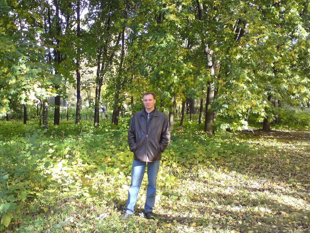 ���� 54219704 ������� ������, 48 ���, ���� ���������� � ������