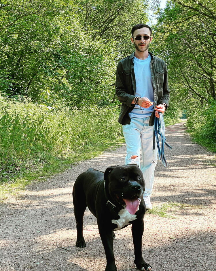  52445034  Matte, 27 ,    