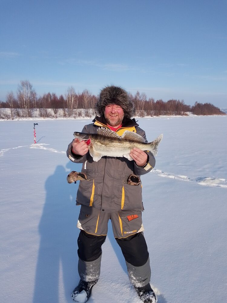 ���� 55886804 ������� �������, 49 ���, ���� ���������� � ������ ���������