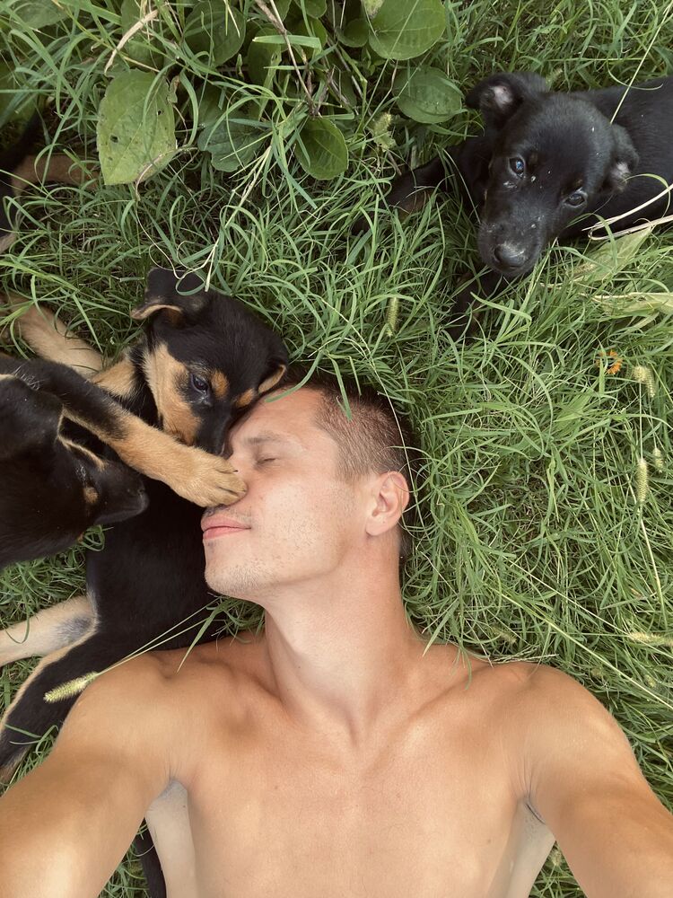 ���������� ����, ���� ������� ���������, 36 ���, ������������ ��� ������, ����� � ���������