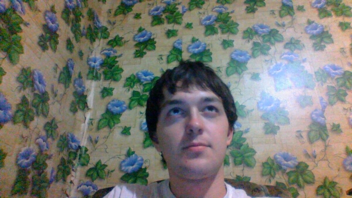  -,   , 29 ,  