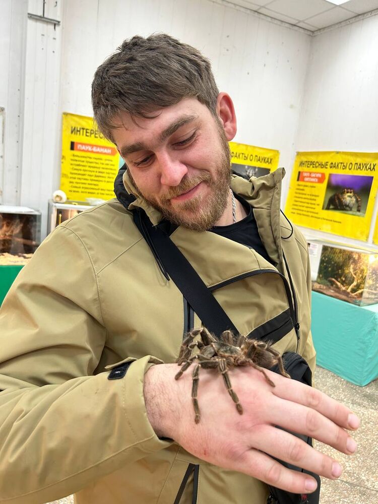 ���� 51091984 ������� �����, 30 ���, ���� ���������� � ���������