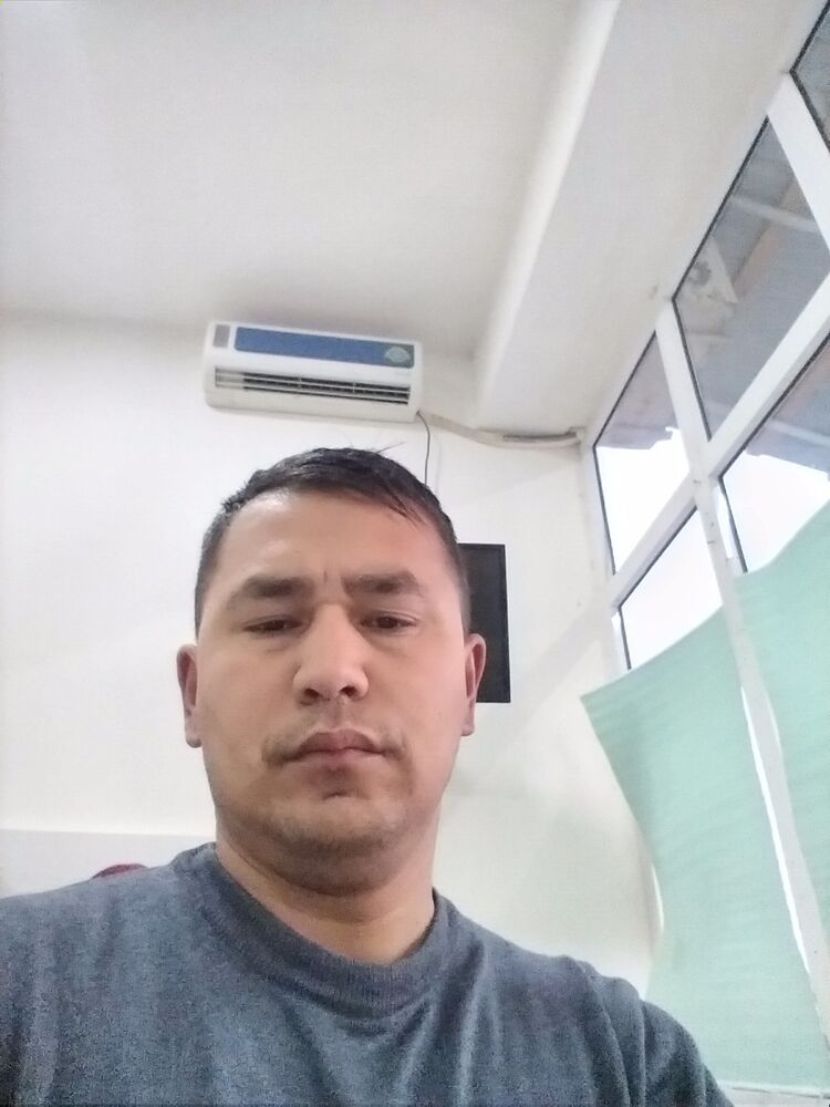  23437794  , 40 ,    