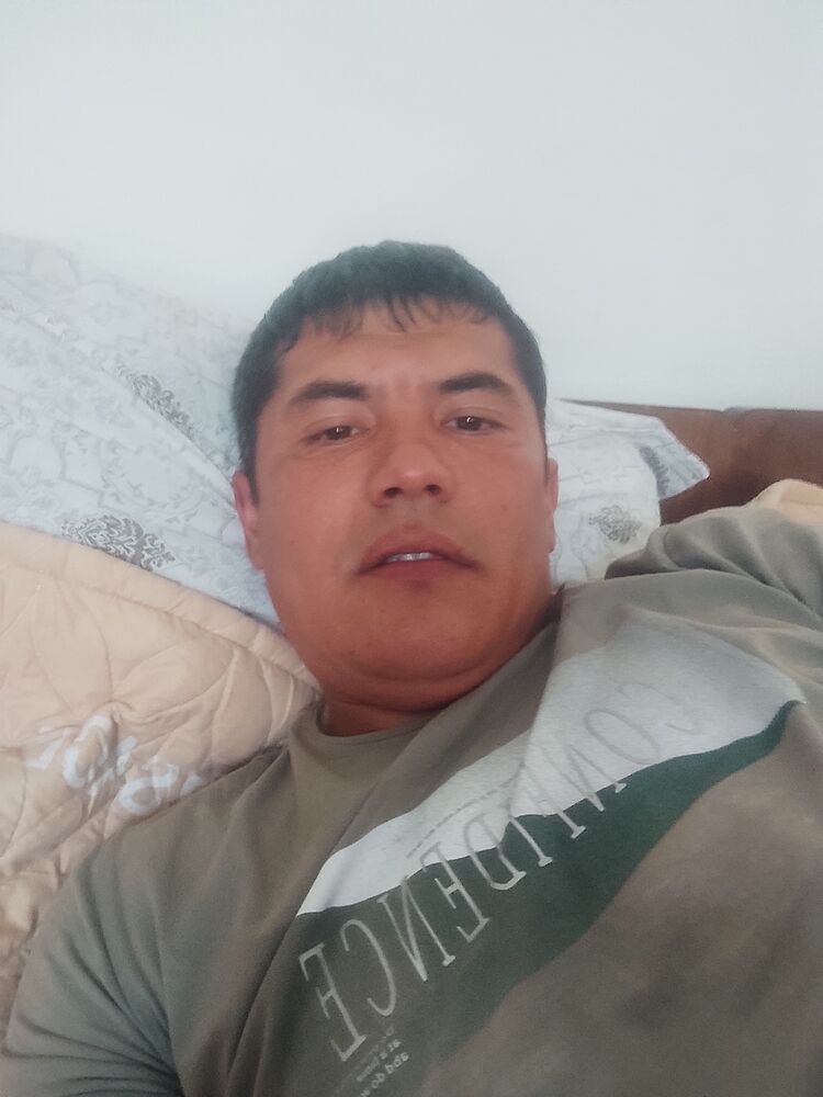  31849414  , 42 ,    