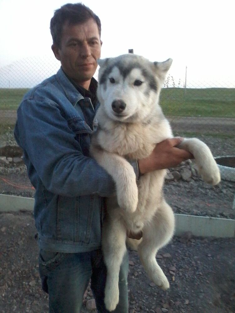 ���������� ������, ���� ������� ����, 54 ����, ������������ ��� ������, ����� � ���������, c�������� ���������