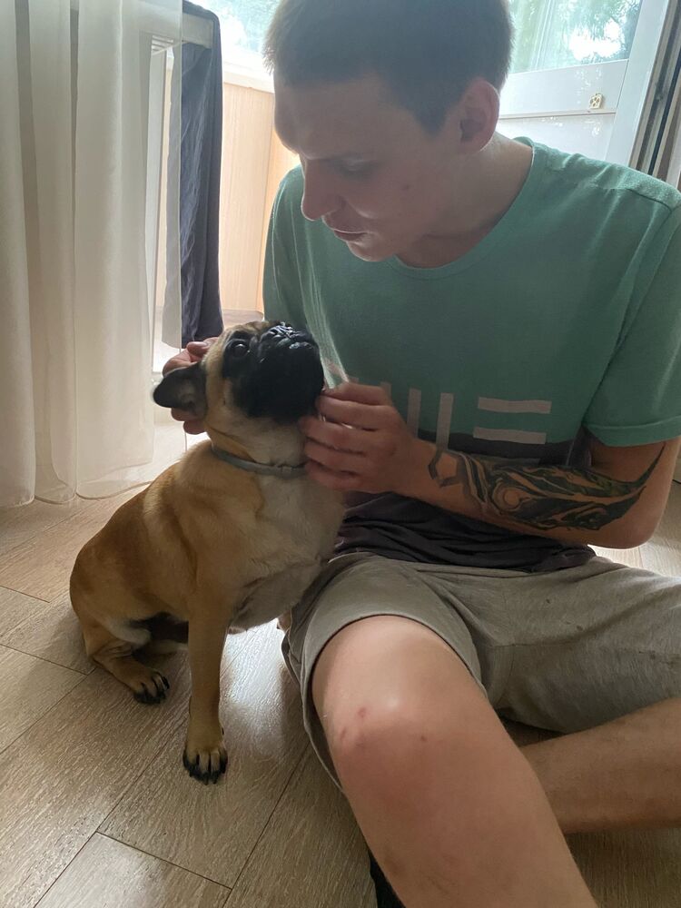 ���� 23618334 ������� ����, 28 ���, ���� ���������� � ������