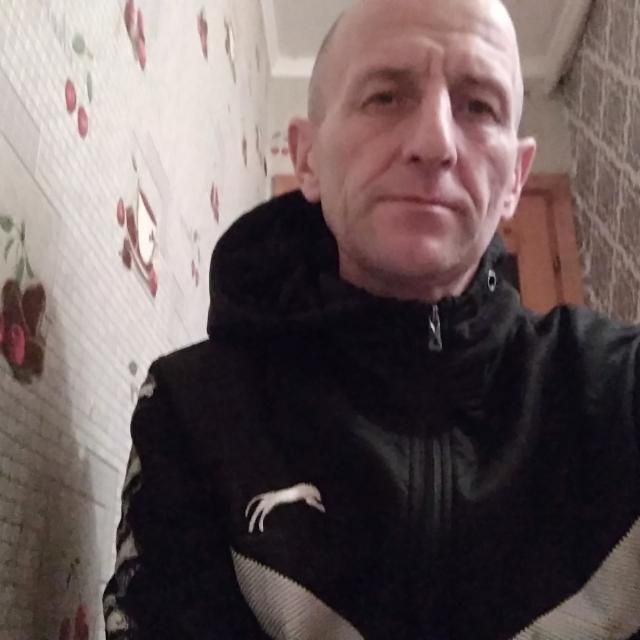  38556674  , 48 ,    