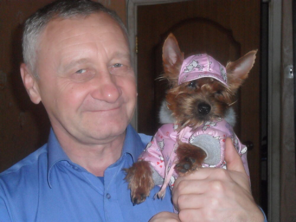 ���� 5774324 ������� �������, 72 ����, ���� ���������� � ������