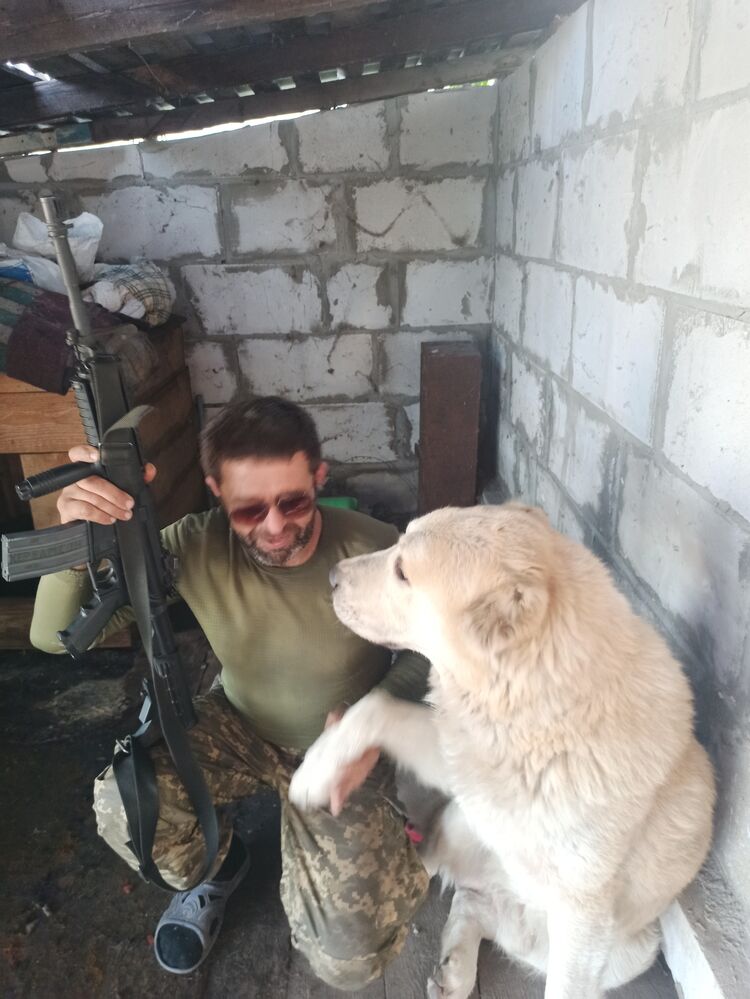 ���� 52632904 ������� �������, 47 ���, ���� ���������� � �����