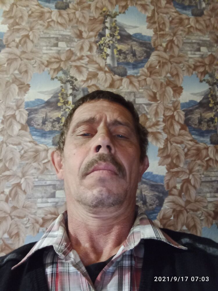  31046314  , 58 ,    