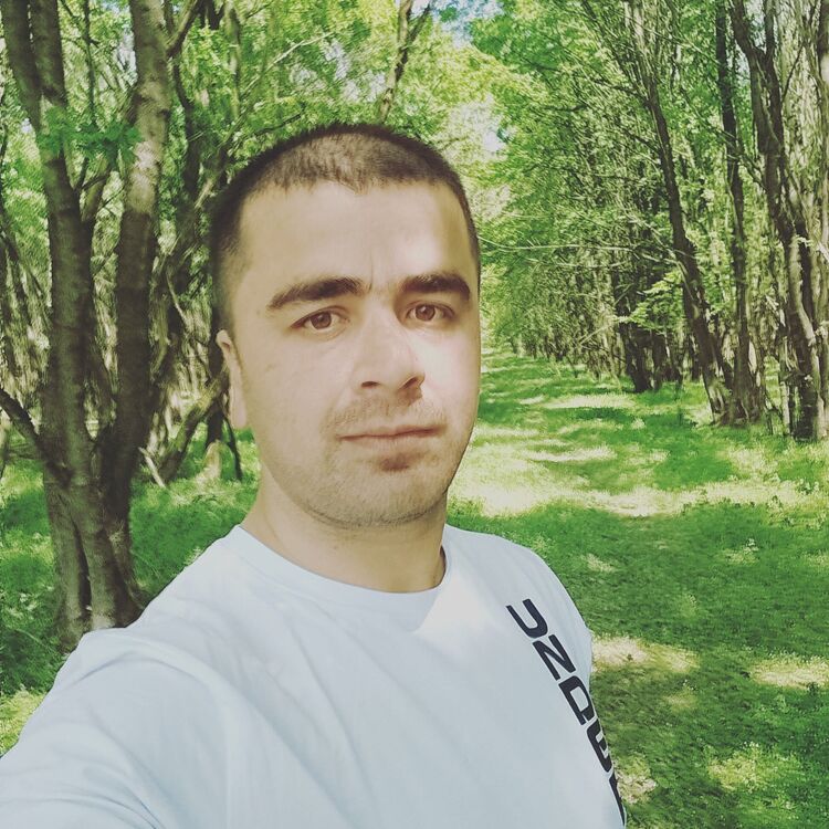  41751734  , 31 ,    Szczytna