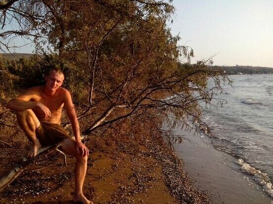 ���� 8815144 ������� �������, 36 ���, ���� ���������� � �����