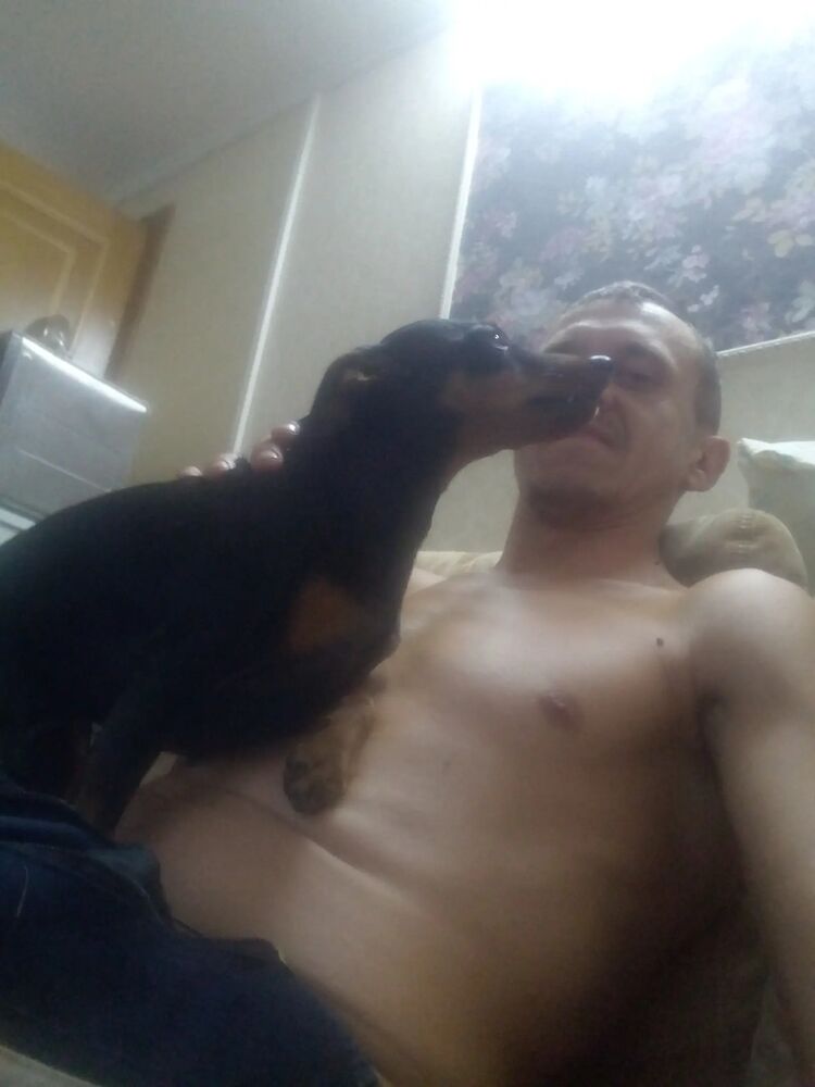  38345434  , 32 ,    -