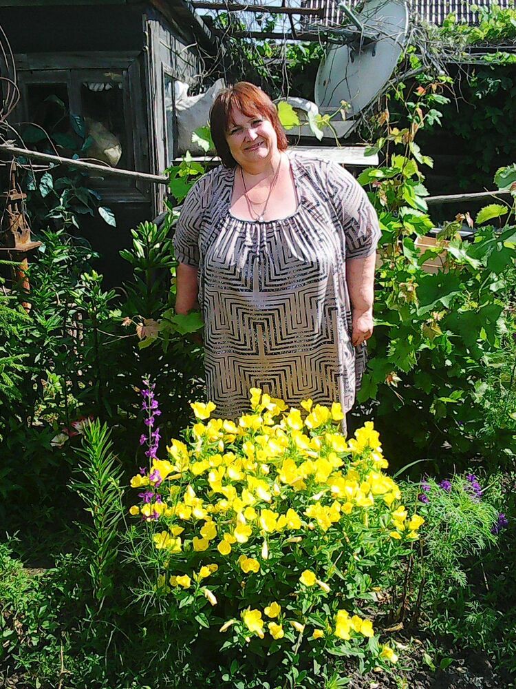  53102384  , 68 ,    --