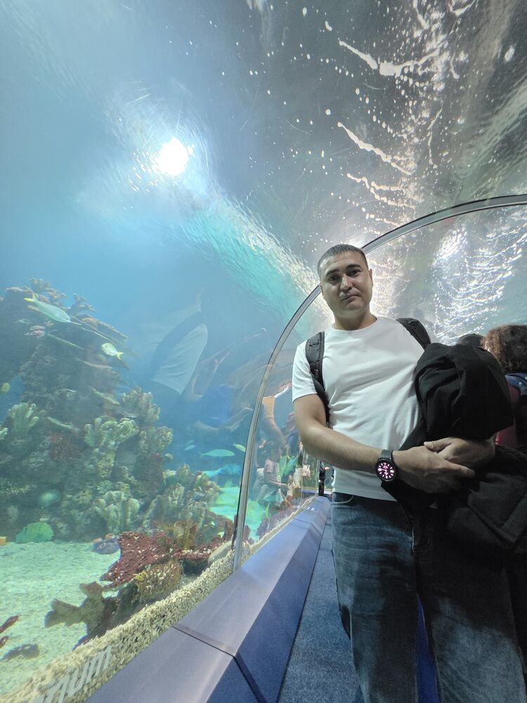 ���� 55904674 ������� ������, 34 ����, ���� ���������� � �����������