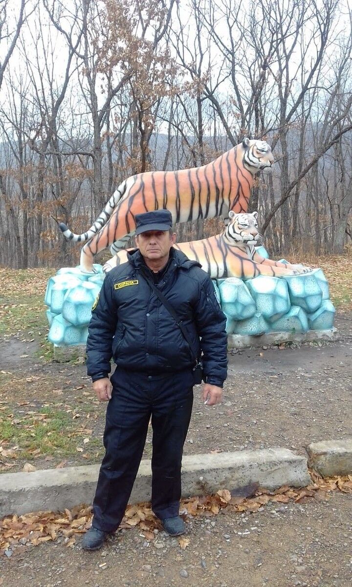  14272934  , 62 ,    