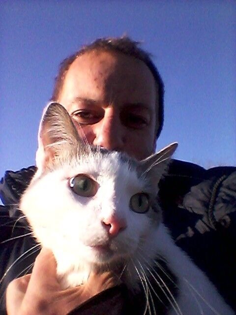 ���������� �����������, ���� ������� �������, 36 ���, ������������ ��� ������, ����� � ���������, c�������� ���������