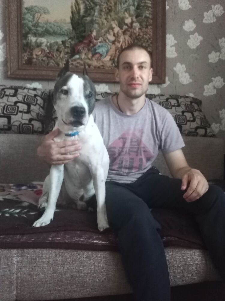 ���� 23485444 ������� ������, 32 ����, ���� ���������� � ������