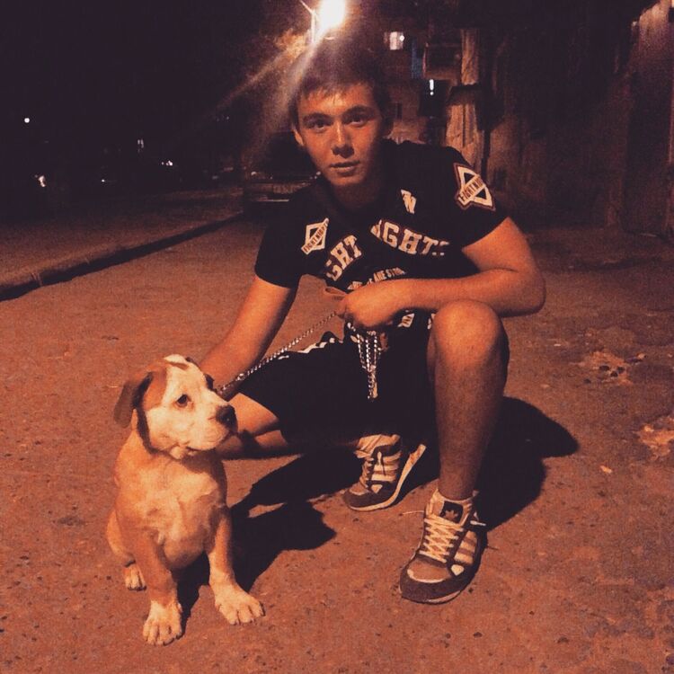  31787654  , 29 ,    