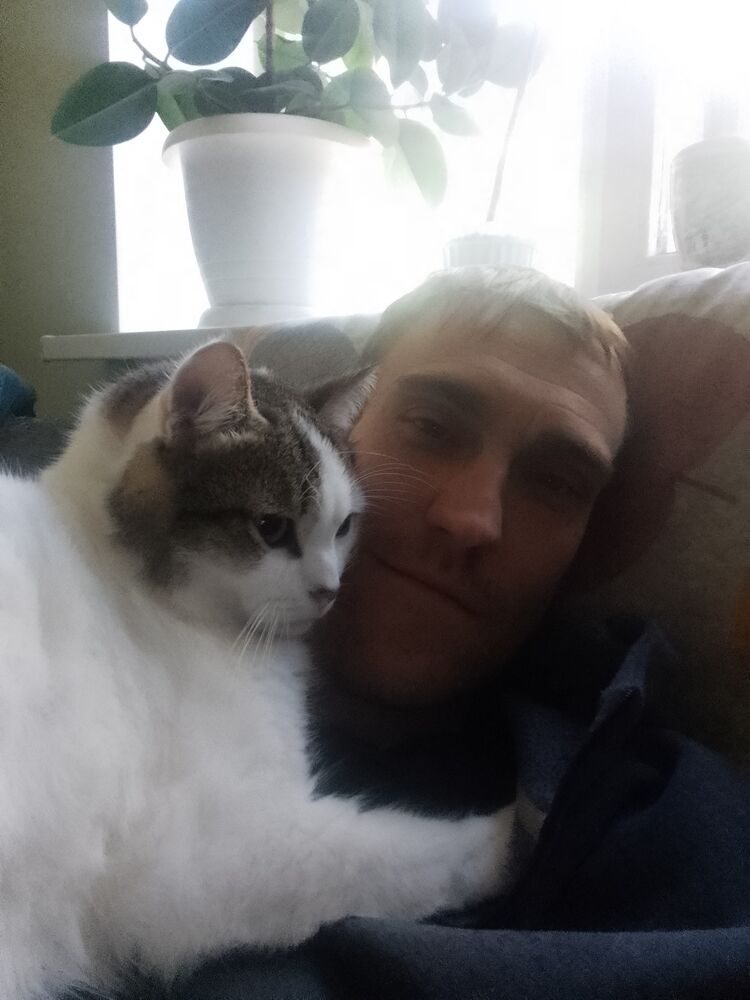 ���������� �������, ���� ������� ���������, 38 ���, ������������ ��� ������, ����� � ���������, c�������� ���������