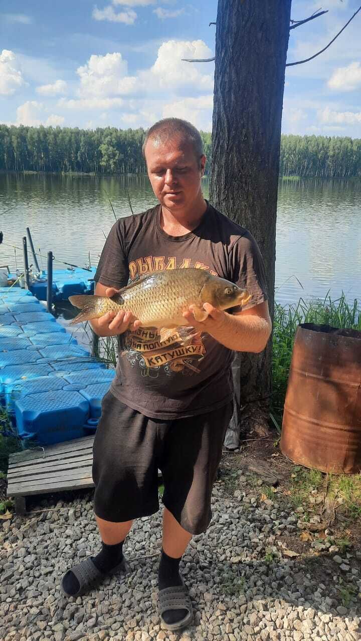 ���� 42472654 ������� ������, 36 ���, ���� ���������� � ���