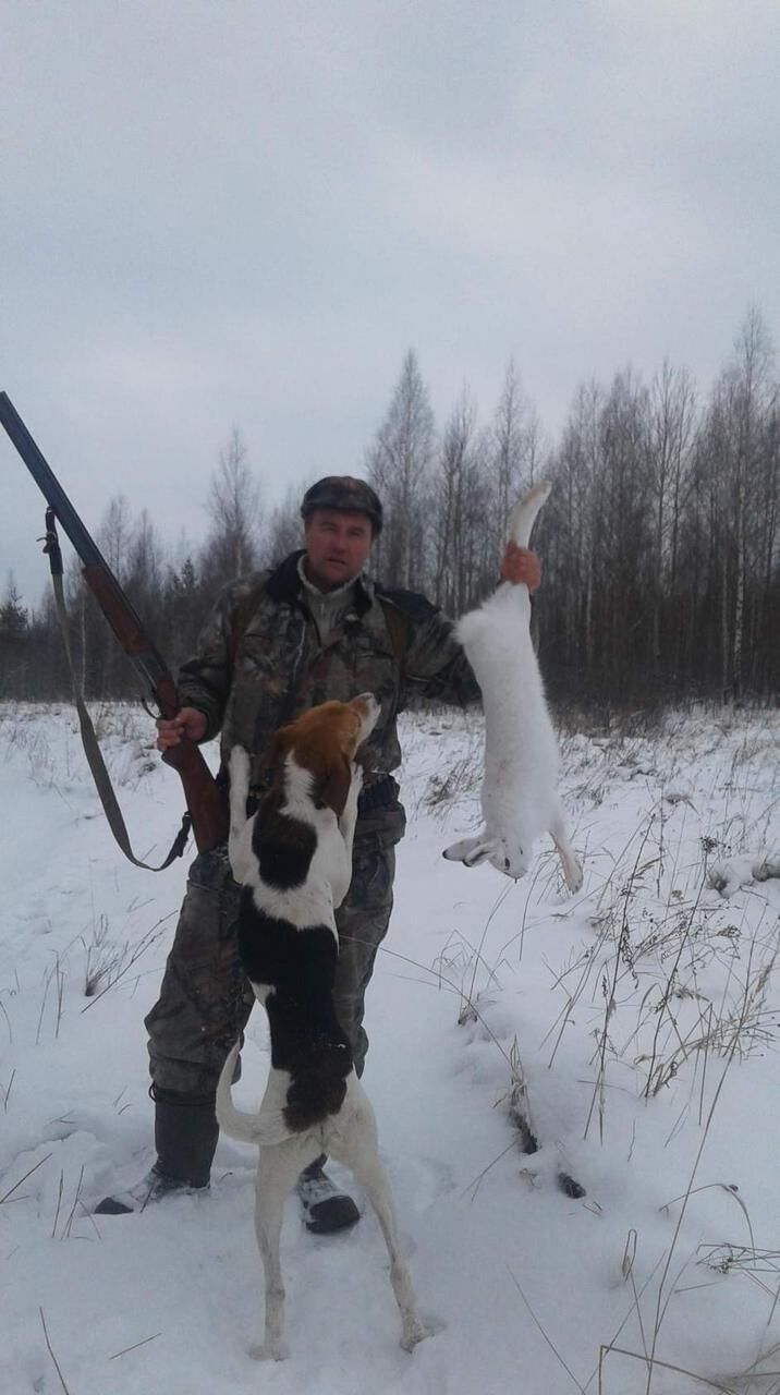  35454854  Aleksandr, 53 ,    