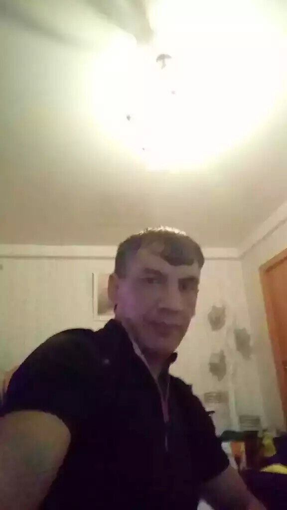  49056554  , 43 ,    -