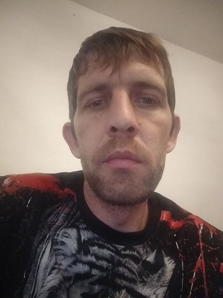  31321434  , 38 ,    