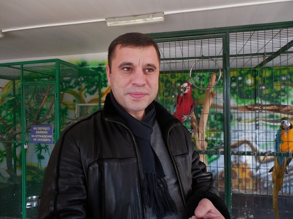  19353264  Maxim, 41 ,    