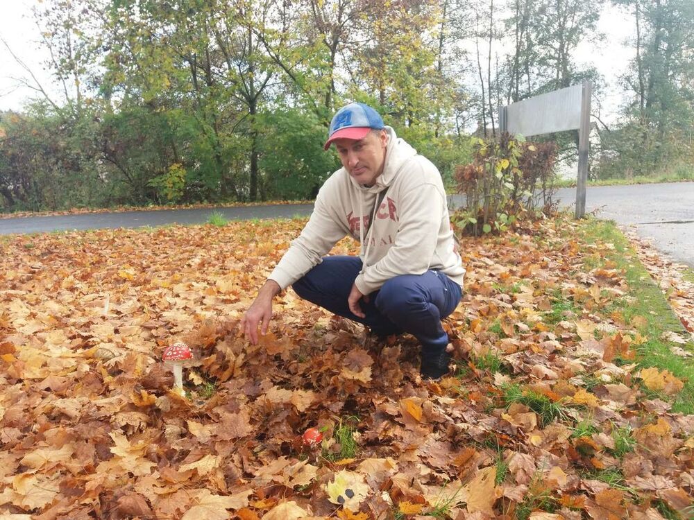  ,   Alegator, 46 ,     , c 