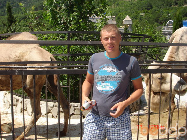 ���������� ��������, ���� ������� Zenuk, 38 ���, ������������ ��� ������, ����� � ���������, c�������� ���������