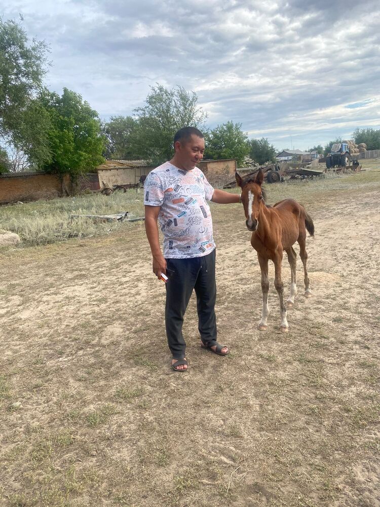 ���� 56228874 ������� Maxstar, 48 ���, ���� ���������� � ��������