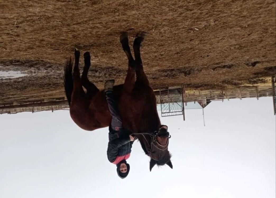 ���������� ���������, ���� ������� Ivan, 29 ���, ������������ ��� ������, ����� � ���������, c�������� ���������