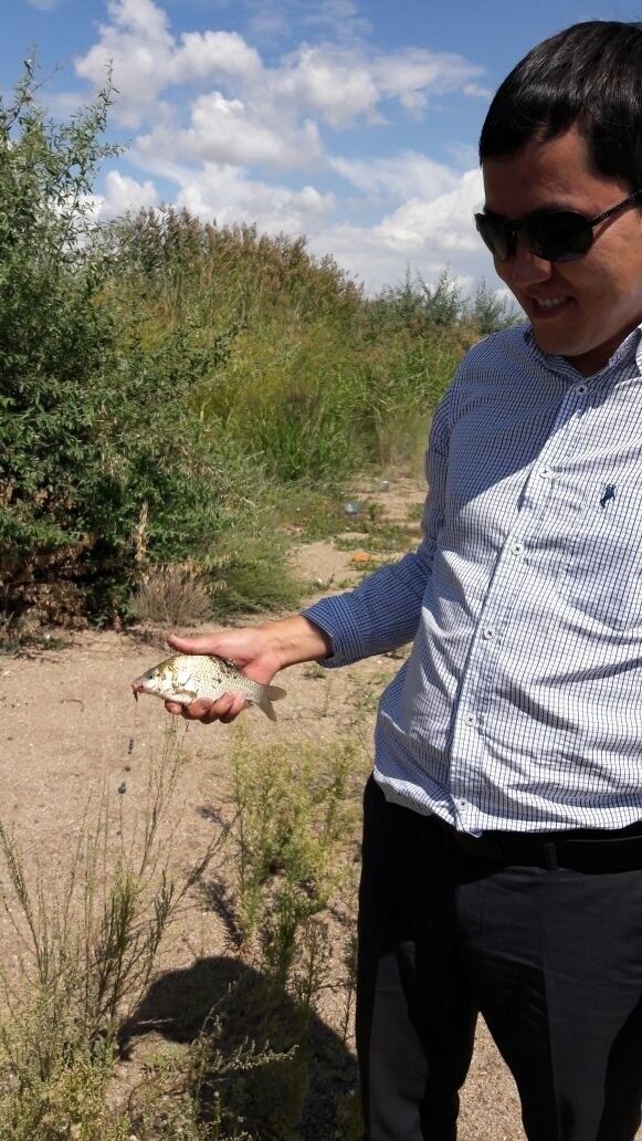 ���� 10299814 ������� ������, 38 ���, ���� ���������� � ������